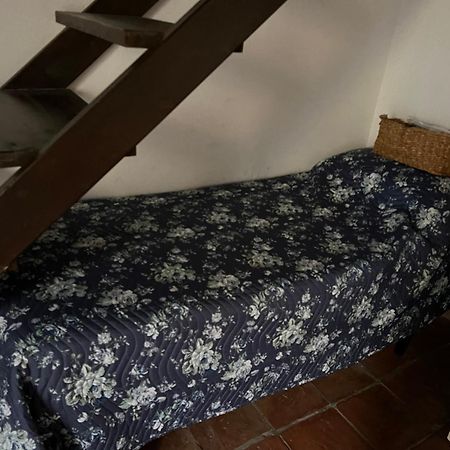 La Limonaia Di Chiaia Apartment Napoli Ngoại thất bức ảnh
