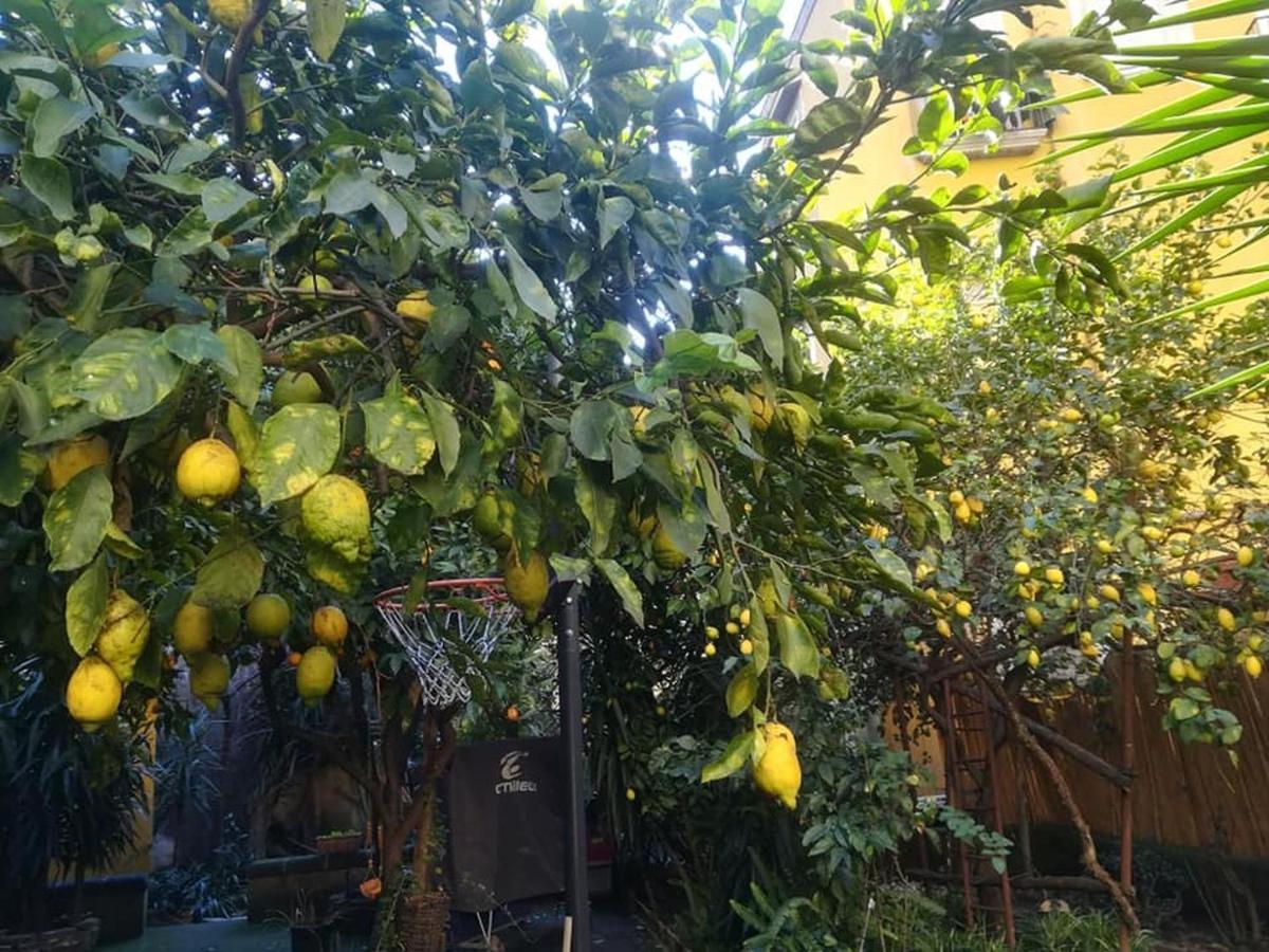 La Limonaia Di Chiaia Apartment Napoli Ngoại thất bức ảnh