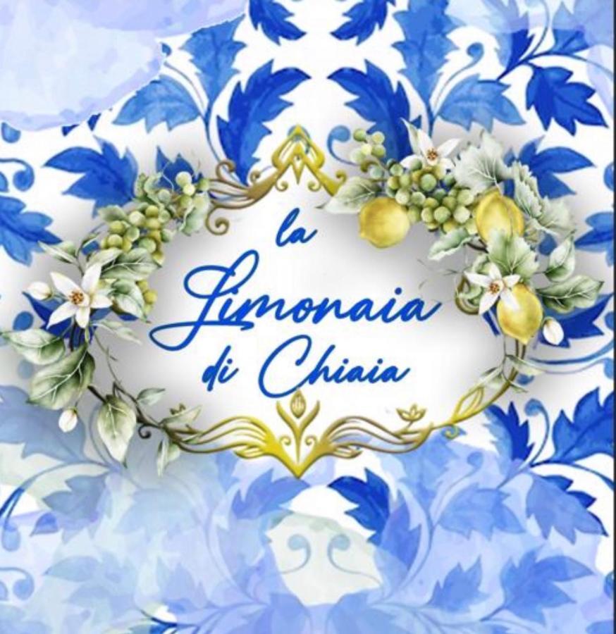 La Limonaia Di Chiaia Apartment Napoli Ngoại thất bức ảnh