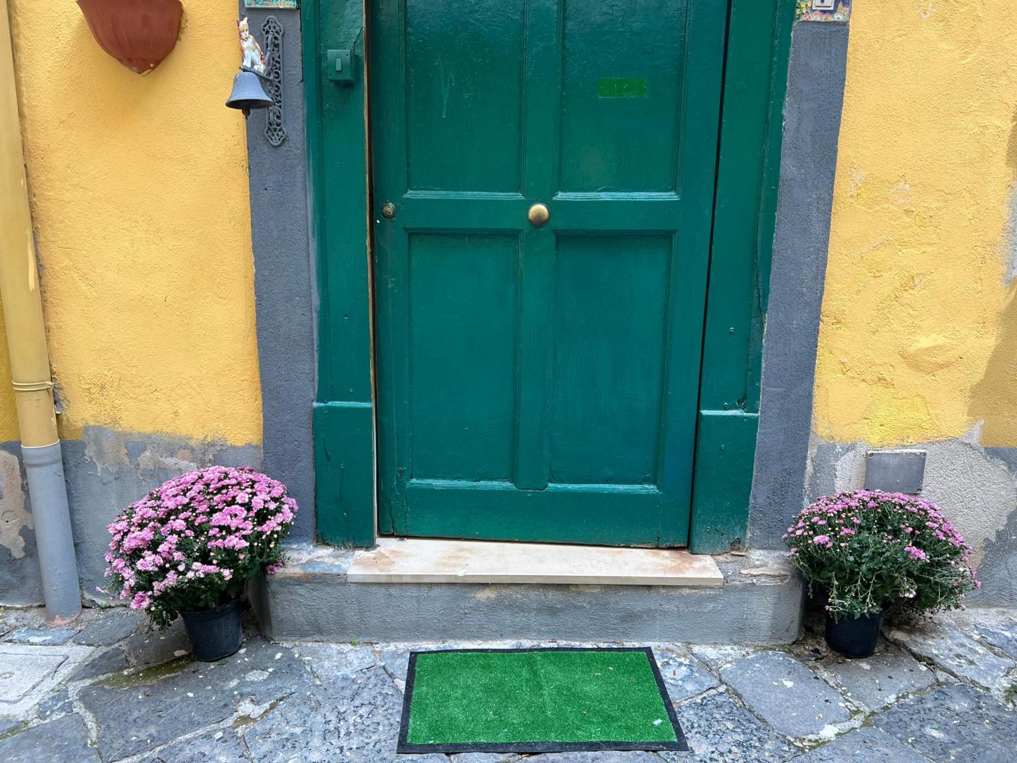 La Limonaia Di Chiaia Apartment Napoli Ngoại thất bức ảnh