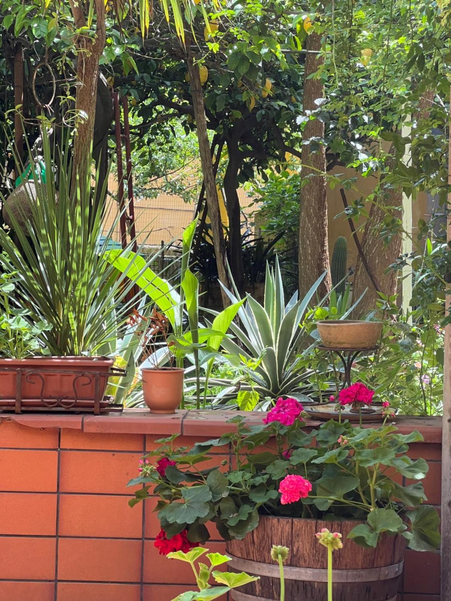 La Limonaia Di Chiaia Apartment Napoli Ngoại thất bức ảnh