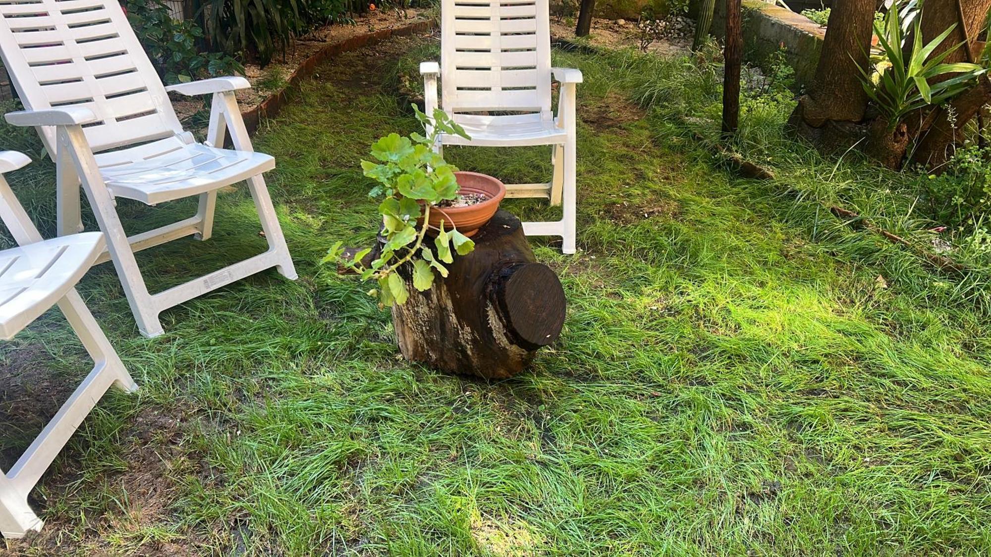 La Limonaia Di Chiaia Apartment Napoli Ngoại thất bức ảnh