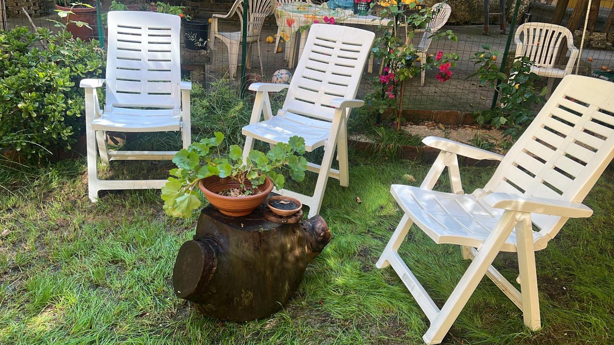 La Limonaia Di Chiaia Apartment Napoli Ngoại thất bức ảnh